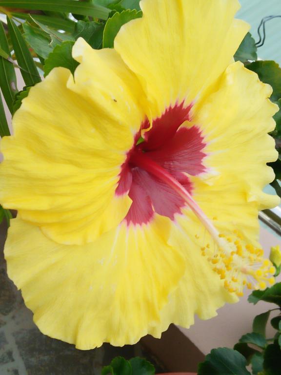 Phu Quoc An Guesthouse Bagian luar foto
